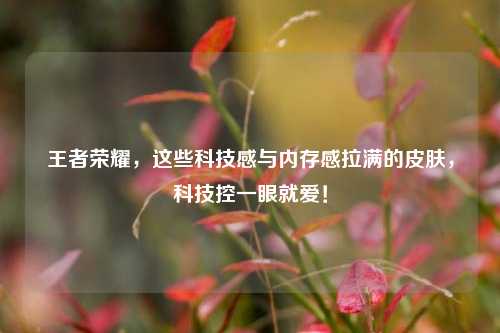 王者荣耀,这些科技感与内存感拉满的皮肤,科技控一眼就爱!