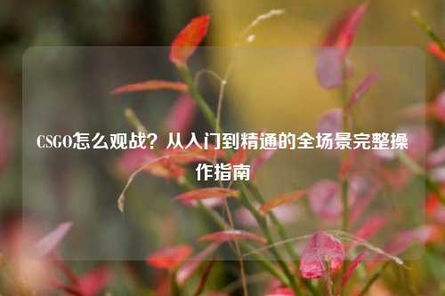 CSGO怎么观战？从入门到精通的全场景完整操作指南