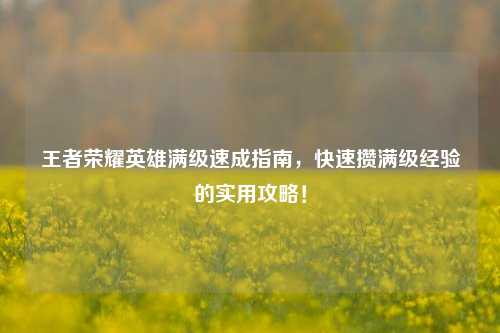 王者荣耀英雄满级速成指南，快速攒满级经验的实用攻略！