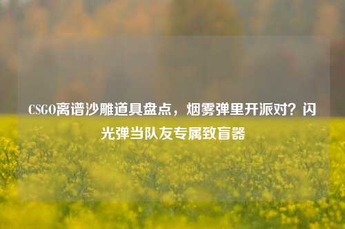 CSGO离谱沙雕道具盘点，烟雾弹里开派对？闪光弹当队友专属致盲器