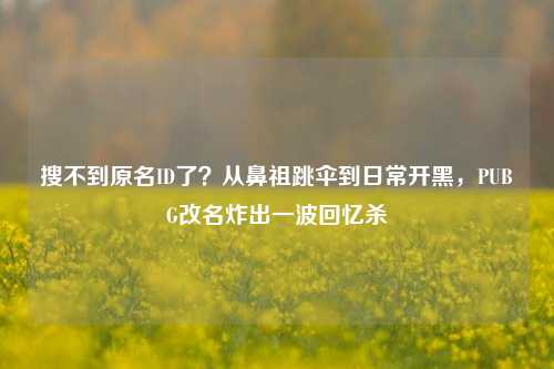搜不到原名ID了？从鼻祖跳伞到日常开黑，PUBG改名炸出一波回忆杀