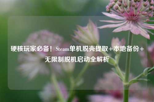 硬核玩家必备!Steam单机脱壳提取+本地备份+无限制脱机启动全解析