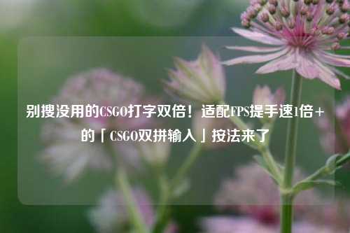 别搜没用的CSGO打字双倍!适配FPS提手速1倍+的「CSGO双拼输入」按法来了