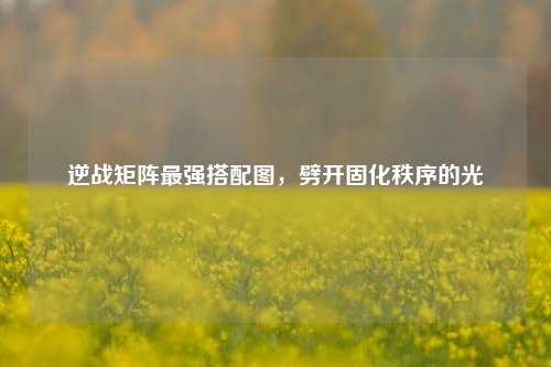 逆战矩阵最强搭配图,劈开固化秩序的光