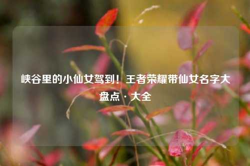 峡谷里的小仙女驾到！王者荣耀带仙女名字大盘点·大全