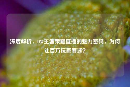 深度解析,DW王者荣耀直播的魅力密码,为何让百万玩家着迷?