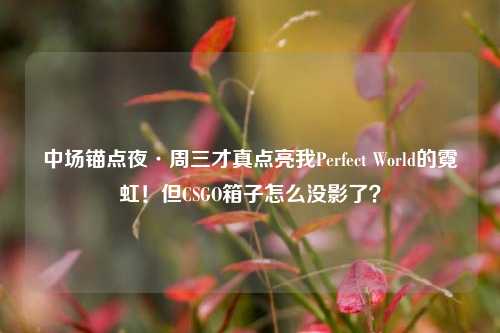 中场锚点夜·周三才真点亮我Perfect World的霓虹！但CSGO箱子怎么没影了？