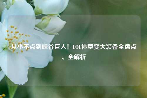 从小不点到峡谷巨人！LOL体型变大装备全盘点、全解析