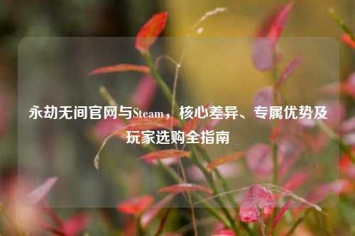 永劫无间官网与Steam,核心差异、专属优势及玩家选购全指南