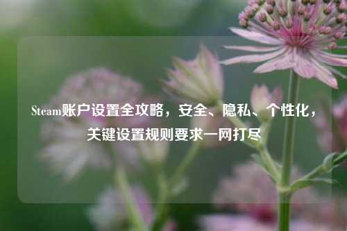Steam账户设置全攻略,安全、隐私、个性化,关键设置规则要求一网打尽
