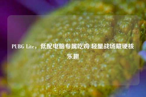 PUBG Lite，低配电脑专属吃鸡 轻量战场藏硬核乐趣