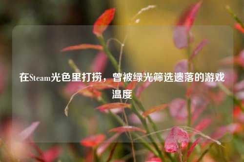 在Steam光色里打捞，曾被绿光筛选遗落的游戏温度