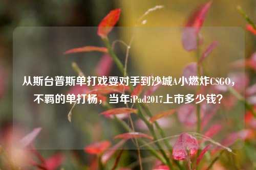 从斯台普斯单打戏耍对手到沙城A小燃炸CSGO，不羁的单打杨，当年iPad2017上市多少钱？