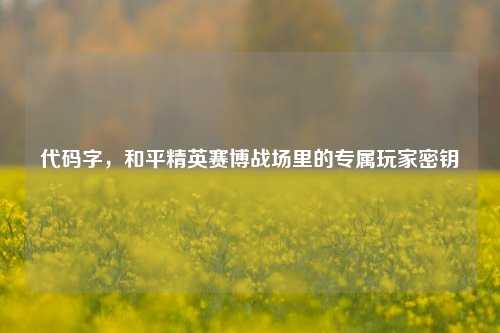 代码字,和平精英赛博战场里的专属玩家密钥