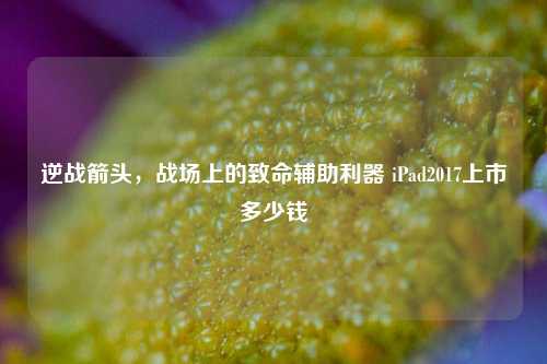 逆战箭头,战场上的致命辅助利器 iPad2017上市多少钱