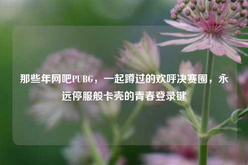 那些年网吧PUBG，一起蹲过的欢呼决赛圈，永远停服般卡壳的青春登录键