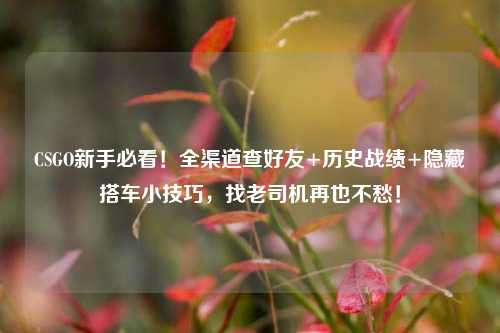 CSGO新手必看！全渠道查好友+历史战绩+隐藏搭车小技巧，找老司机再也不愁！