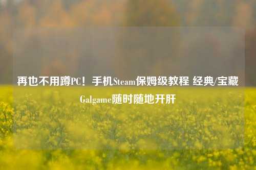 再也不用蹲PC！手机Steam保姆级教程 经典/宝藏Galgame随时随地开肝