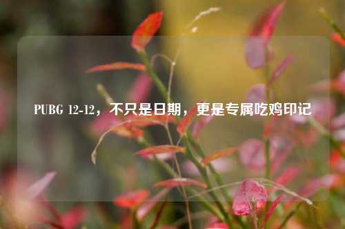PUBG 12-12,不只是日期,更是专属吃鸡印记