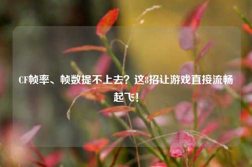 CF帧率、帧数提不上去?这8招让游戏直接流畅起飞!