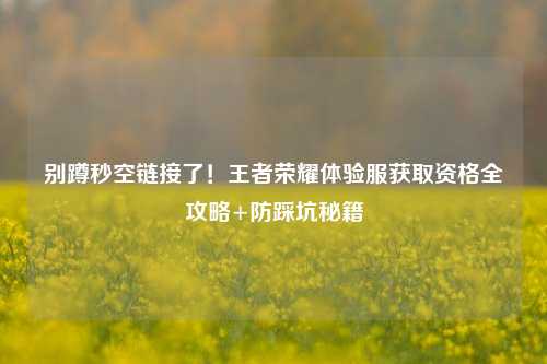 别蹲秒空链接了！王者荣耀体验服获取资格全攻略+防踩坑秘籍