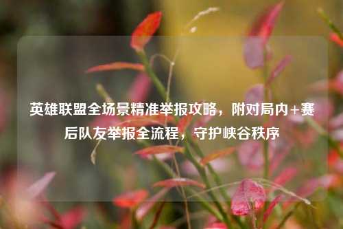英雄联盟全场景精准举报攻略，附对局内+赛后队友举报全流程，守护峡谷秩序