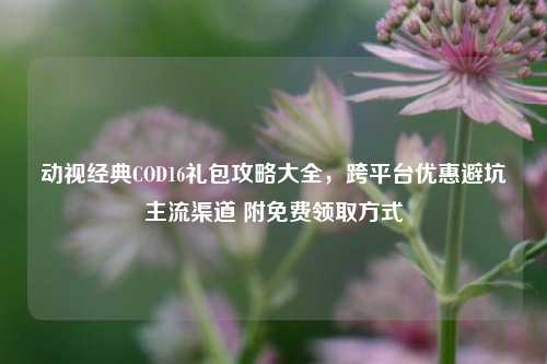 动视经典COD16礼包攻略大全,跨平台优惠避坑主流渠道 附免费领取方式