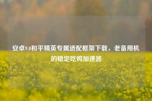 安卓9.0和平精英专属适配框架下载,老备用机的稳定吃鸡加速器