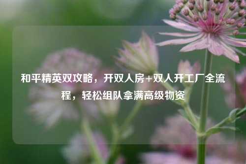 和平精英双攻略，开双人房+双人开工厂全流程，轻松组队拿满高级物资