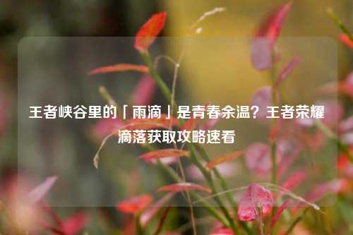 王者峡谷里的「雨滴」是青春余温?王者荣耀滴落获取攻略速看