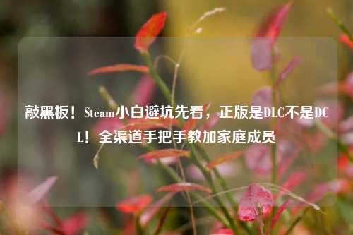 敲黑板！Steam小白避坑先看，正版是DLC不是DCL！全渠道手把手教加家庭成员