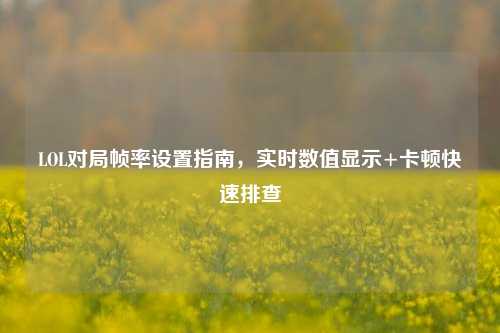 LOL对局帧率设置指南,实时数值显示+卡顿快速排查