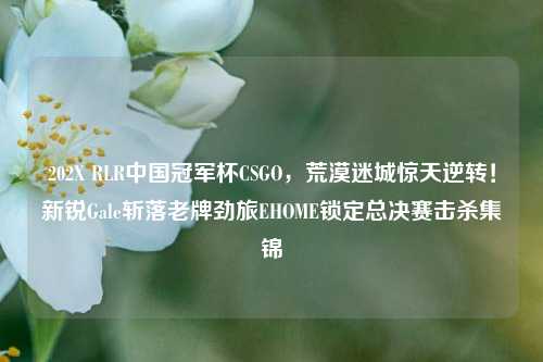 202X RLR中国冠军杯CSGO,荒漠迷城惊天逆转!新锐Gale斩落老牌劲旅EHOME锁定总决赛击杀集锦