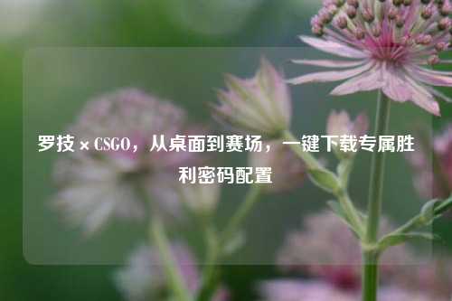 罗技×CSGO,从桌面到赛场,一键下载专属胜利密码配置