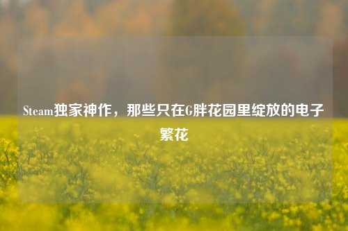 Steam独家神作,那些只在G胖花园里绽放的电子繁花