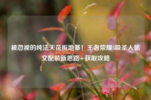 被忽视的纯法天花板地基！王者荣耀5级圣人铭文配装新思路+获取攻略