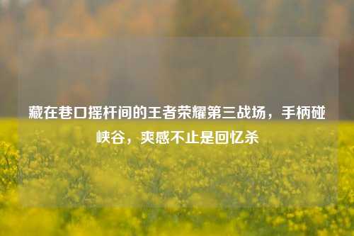 藏在巷口摇杆间的王者荣耀第三战场，手柄碰峡谷，爽感不止是回忆杀