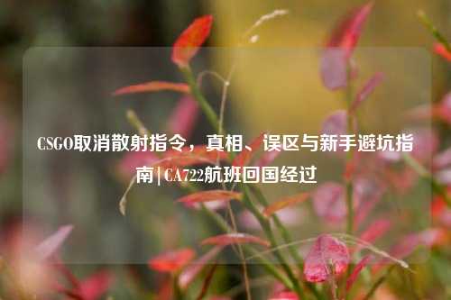 CSGO取消散射指令,真相、误区与新手避坑指南|CA722航班回国经过