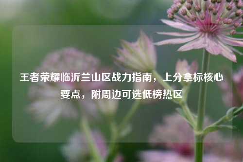 王者荣耀临沂兰山区战力指南,上分拿标核心要点,附周边可选低榜热区