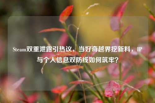 Steam双重泄露引热议,当好奇越界挖新料,IP与个人信息双防线如何筑牢?