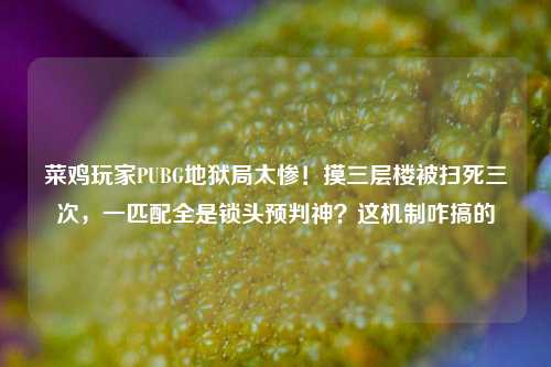 菜鸡玩家PUBG地狱局太惨!摸三层楼被扫死三次,一匹配全是锁头预判神?这机制咋搞的