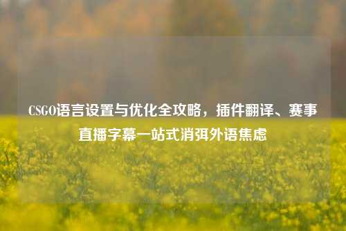 CSGO语言设置与优化全攻略，插件翻译、赛事直播字幕一站式消弭外语焦虑