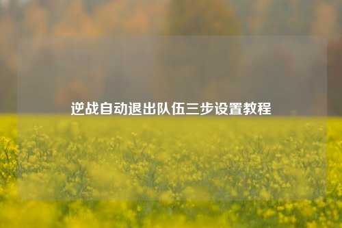 逆战自动退出队伍三步设置教程