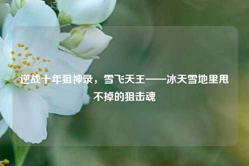 逆战十年狙神录，雪飞天王——冰天雪地里甩不掉的狙击魂
