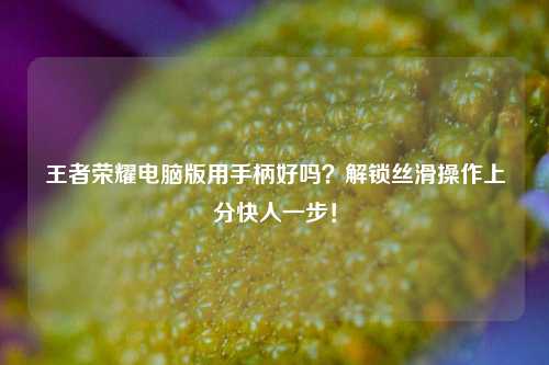 王者荣耀电脑版用手柄好吗？解锁丝滑操作上分快人一步！