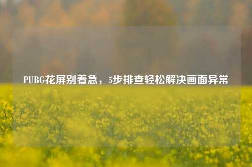 PUBG花屏别着急，5步排查轻松解决画面异常