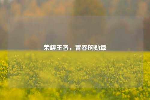 荣耀王者，青春的勋章