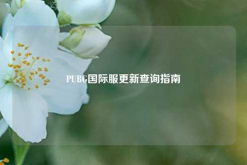 PUBG国际服更新查询指南