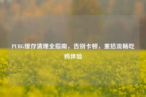 PUBG缓存清理全指南，告别卡顿，重拾流畅吃鸡体验