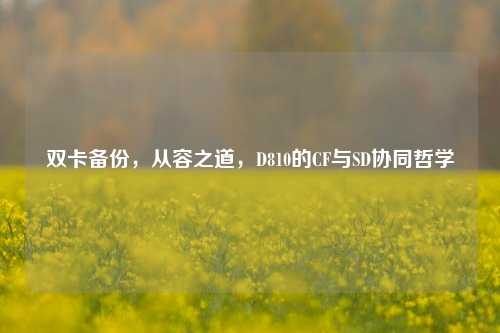 双卡备份,从容之道,D810的CF与SD协同哲学